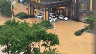 Силни дъждове предизвикаха наводнения и свлачища китайската провинция Гуангдонг съобщава