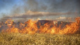 Горски пожар избухна в централна Гърция