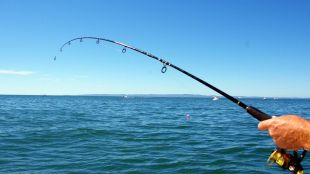 Забраненият риболовен период започва от 15 април 2024 г и
