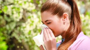 Полените - причинители на алергия