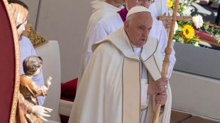 Папа Франциск се оплака от „много педалщина“