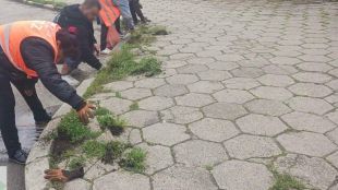 Столична община започна премахване на треви по тротоарите