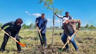 Служители на АПИ засадиха дървета в района на обходния път на Бургас (СНИМКИ)