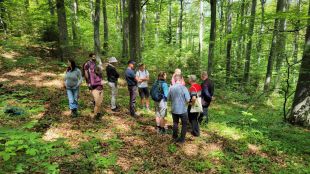 Немски учени и експерти почерпиха опит от лесовъдите на ДГС-Плачковци