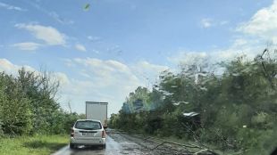 Буря събори дървета и клони и блокира пътища във Великотърновска област