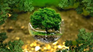 На 5 юни отбелязваме Световният ден на околната среда Редица
