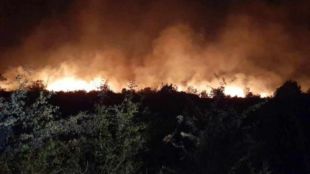 Пожар гори на територията на лесичовското село Боримечково  Сигналът е