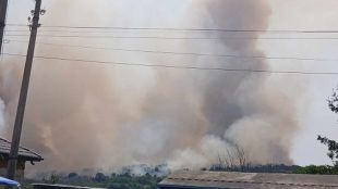 Потушен е пожарът възникнал край лесичовското село Боримечково съобщи за