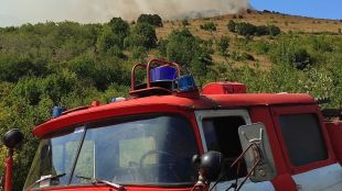 Загасиха пожара в село Димитриево в рамките на часове (СНИМКИ)