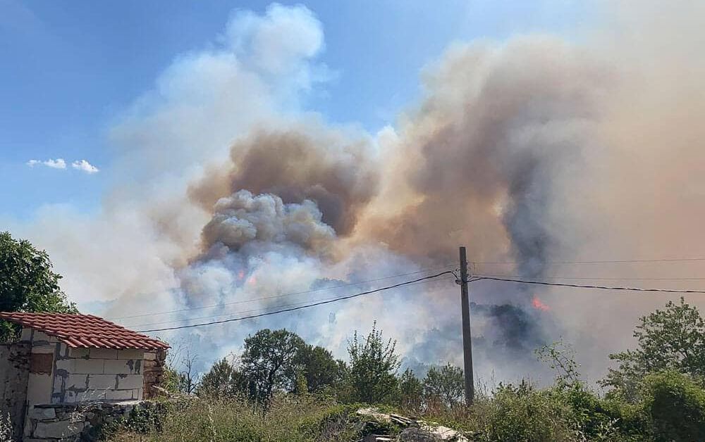 Пострадали от пожарите намериха подслон в Устремския манастир - Труд