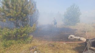 Нов пожар в Старозагорско спря влаковете София-Бургас