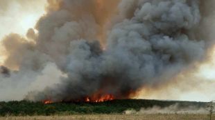 Експертни комисии започват оценки на щетите за земеделието от пожарите