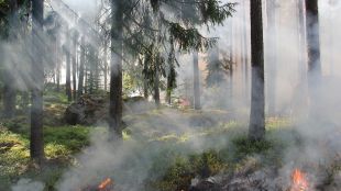 Пожар гори в землището на селата Малко Тръново и Свобода