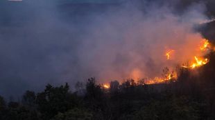 Пожарникарите продължават да се борят трети ден с големия горски