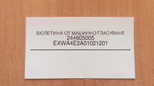 Наблюдатели от ПАСЕ с тревожни данниПрепоръчват ни промени в изборния