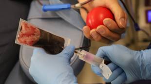 ГДБОП неутрализира престъпна група подбирала и привличала донори на кръв
