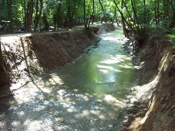 На работна среща зам.-министрите на околната среда и водите Ренета