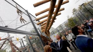 Голяма част от зоопарковете в България са получили лиценз без