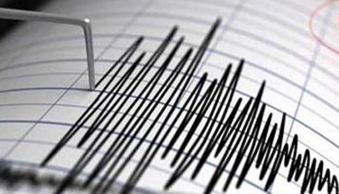 Земетресение с магнитуд 4.2 е регистрирано близо до Пловдив