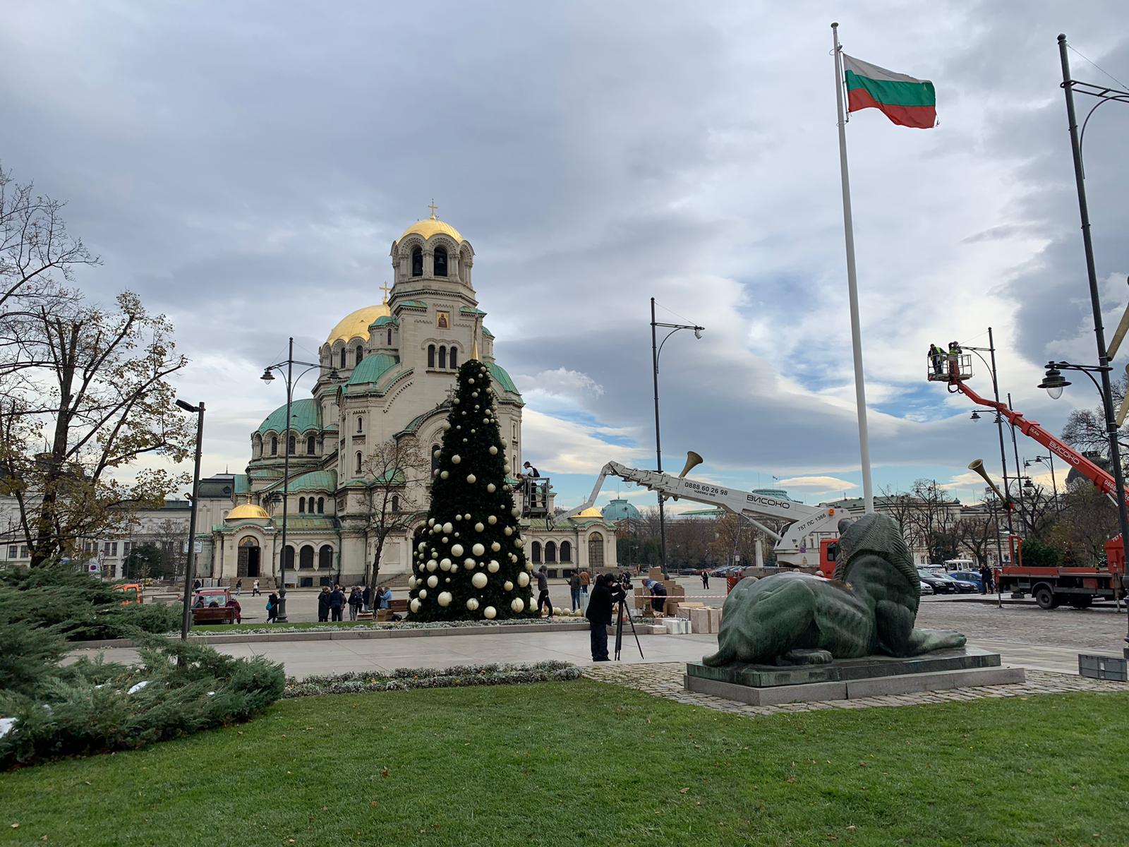 Коледната елха на София грейва довечера пред "Св. Александър Невски"