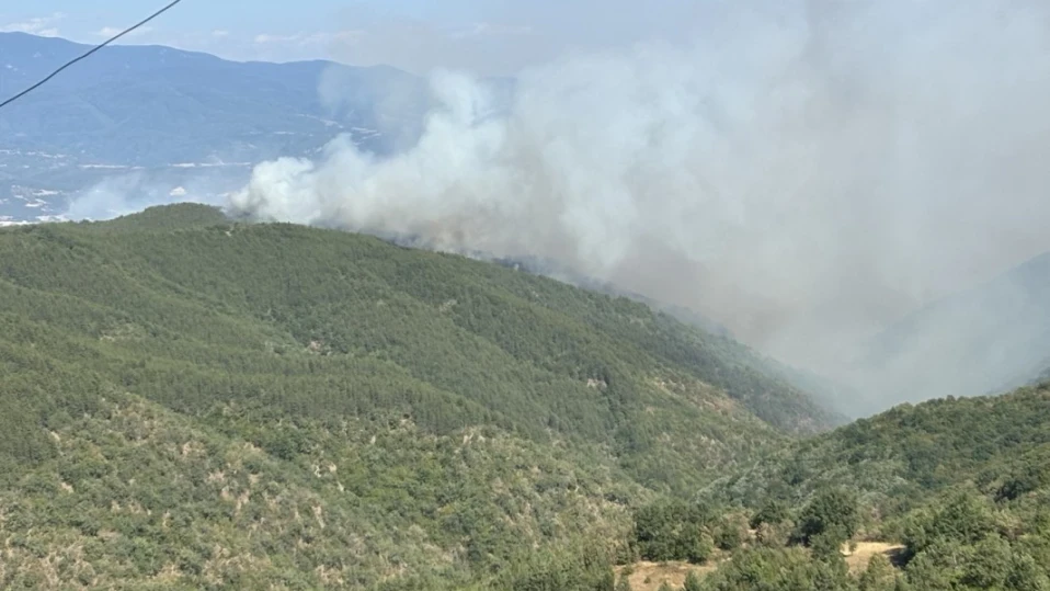 Евакуират второ село заради големия пожар край Струмяни