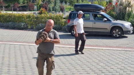 Откритата днес глава на статуя в Хераклея Синтика е предадена на музея в Петрич