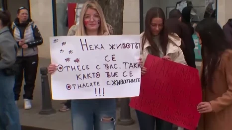 Протест в София срещу насилието над животни