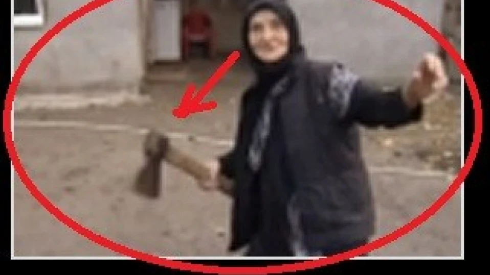 Баба на 88 години уцели крадец с брадва, подгони го