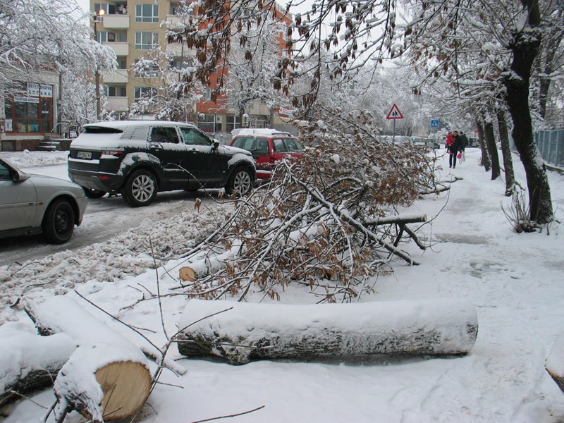 Екипи отстраняват повреди по ел. мрежата във Видинско