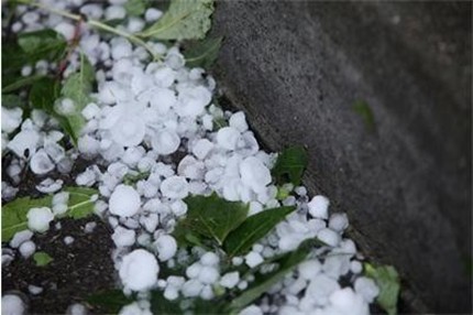 Градушка валя в Попово