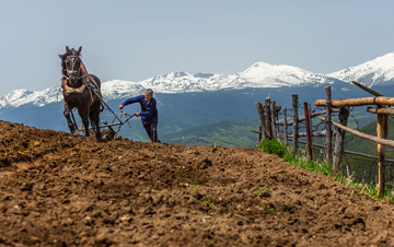 Атомизирането на българите убива България