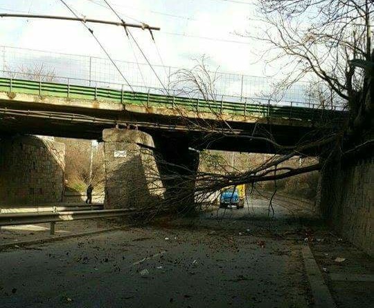 Мъж е в тежко състояние след вчерашния ураган във Враца