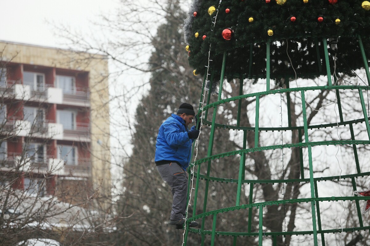 Развалиха елхата от Москва (СНИМКИ)