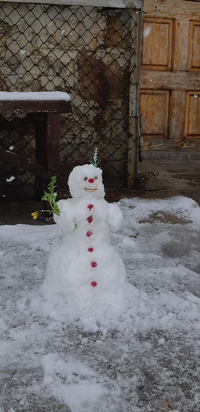 Честит ви юлски сняг