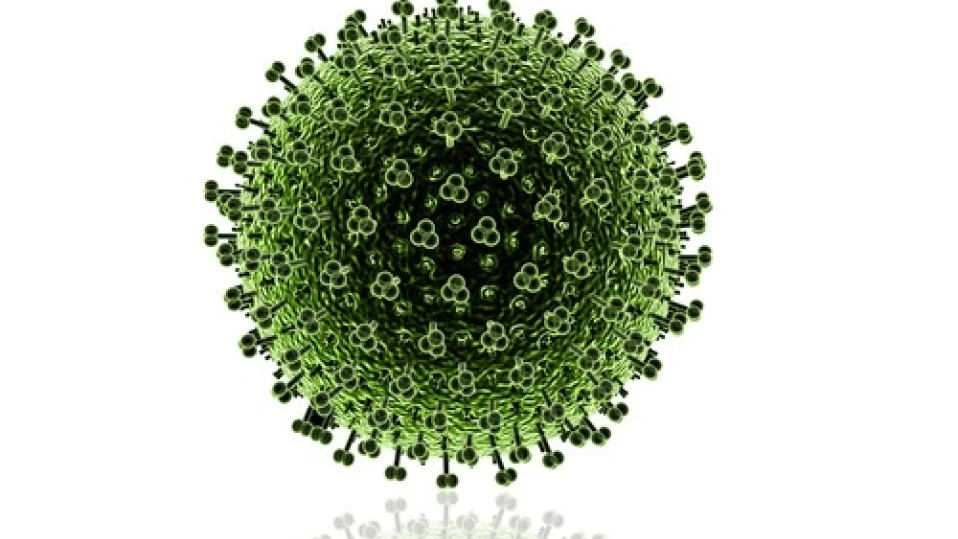 Жена почина от свински грип в Косово