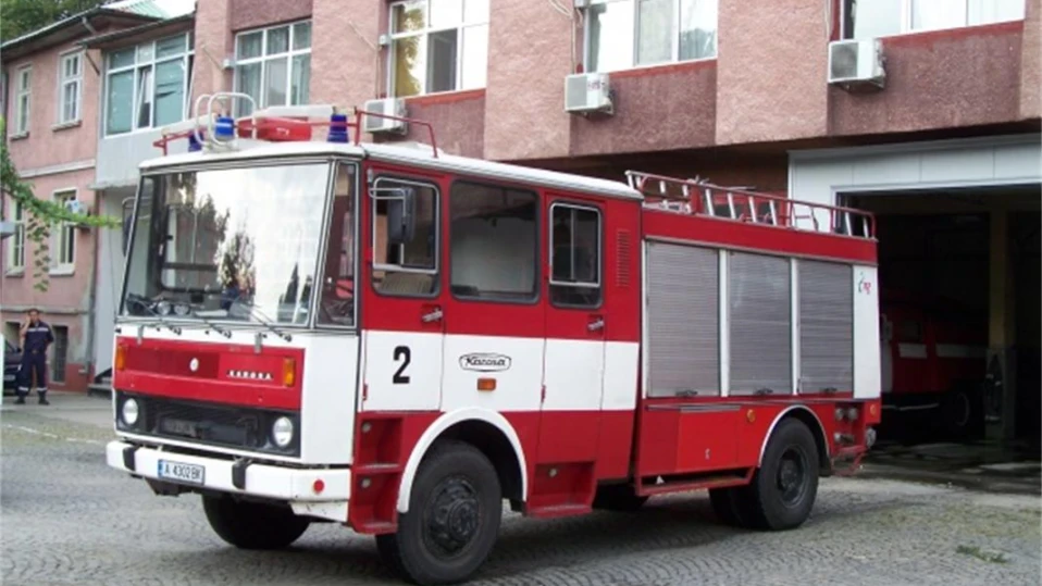 220 птици и 2 свине изгоряха в пожар край Смолян