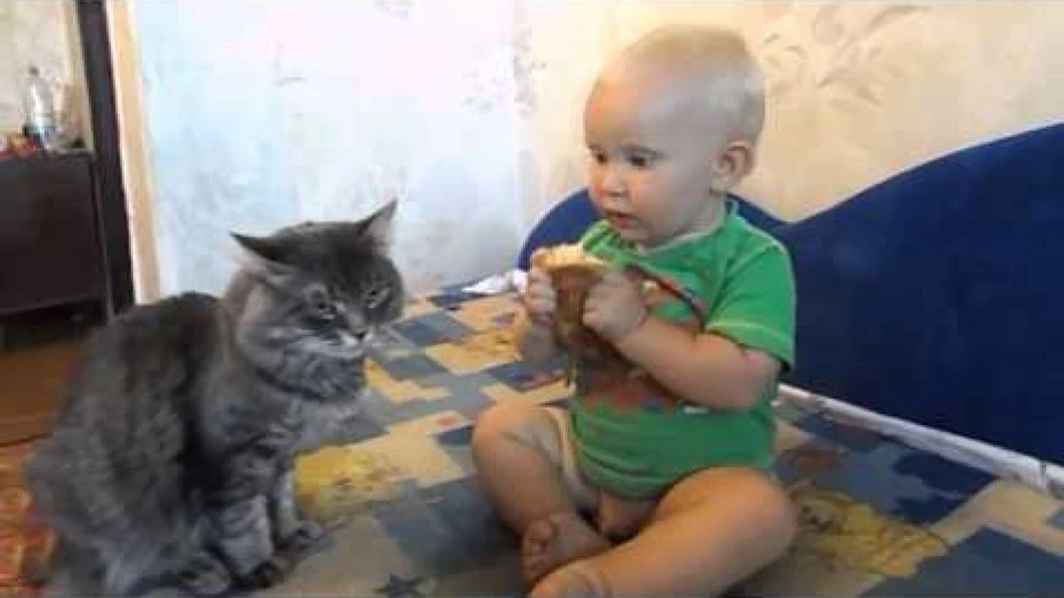 Бебе и коте си поделят по братски кроасан