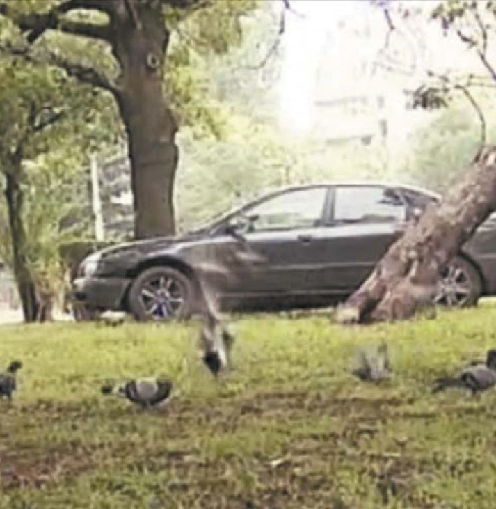 Родители искат 10 г. затвор за прокурорски син, прегазил децата им (ОБЗОР)