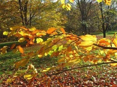 Утре ще е предимно слънчево, температурите до 15°