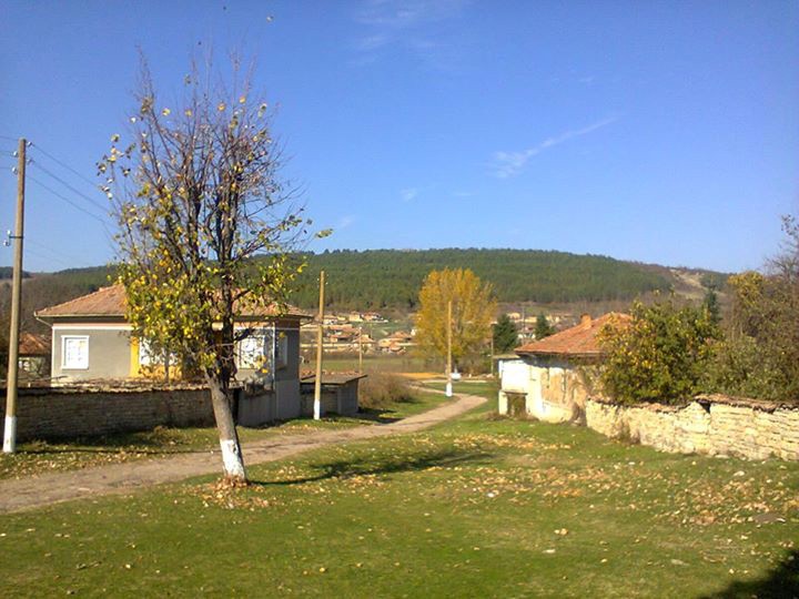 Газ задуши баба и внучка в Дряновец (обзор)