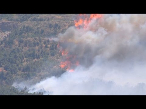 Арестуваният за пожарите в Гърция българин опушвал кошери (Видео)