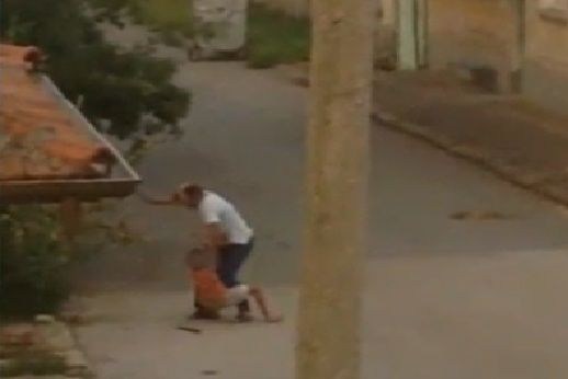 Пребиха дете, брало сливи от улично дърво