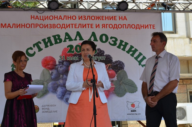 Министър Танева: Малинопроизводителите ще получат над 2,1 млн. лв. от кампанията по директни плащания