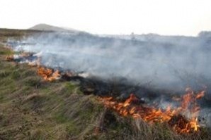 Нов пожар гори в района на Лесово