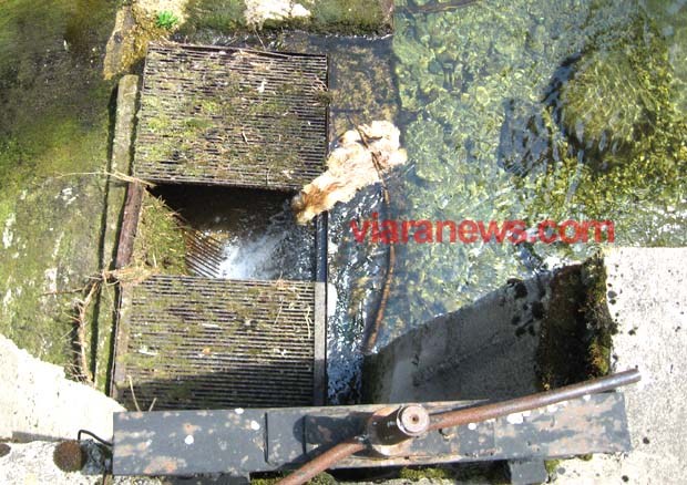 Умряло животно се разлага във водоема за питейна вода на Боровец