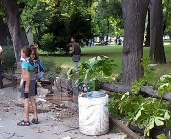Жена загуби съзнание, след като върху нея се стовари клон в Градската градина в Пловдив