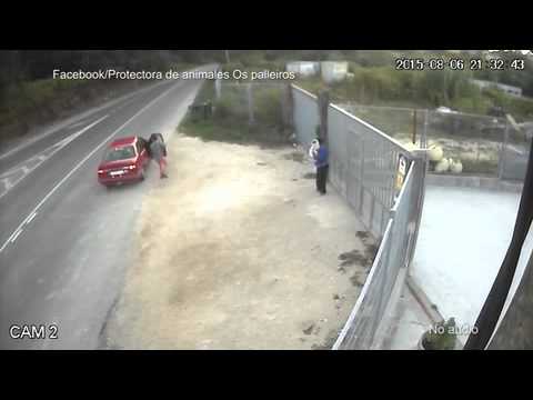 Защитници на животните скандализирани: Мъж мята куче през ограда като торба боклук