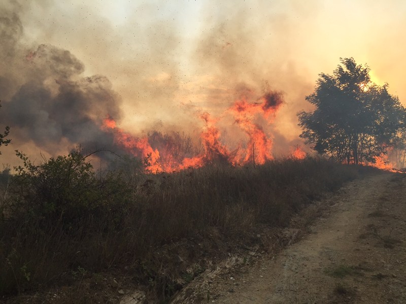 Берачи на малини може да са запалили пожара край Казанлък