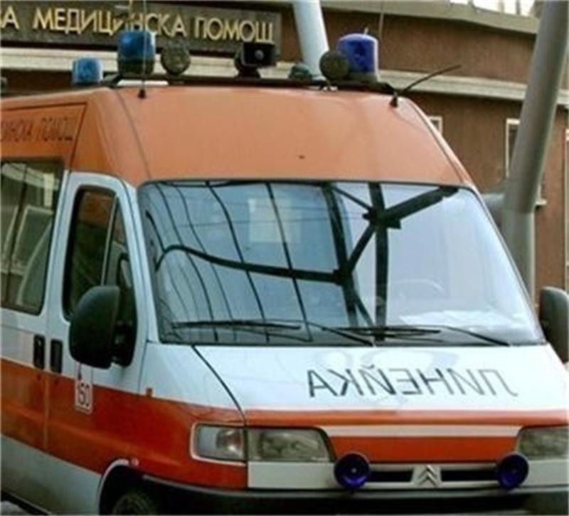 Дърво премаза пенсионер край Рудозем