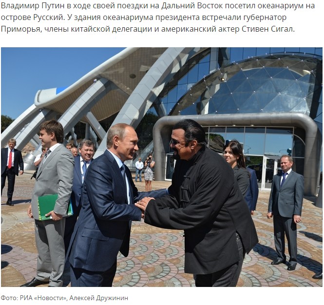 Предложиха на Путин да се бие със Стивън Сегал
